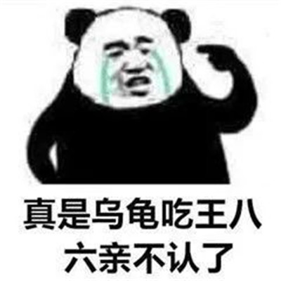 熊猫头表情包头像