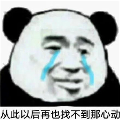 熊猫头表情包头像