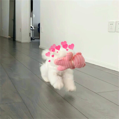 沙雕小众又有一些高级的头像图片