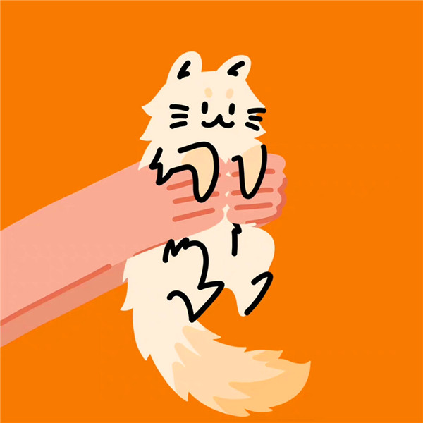 手绘可爱猫咪被抓团体头像图片