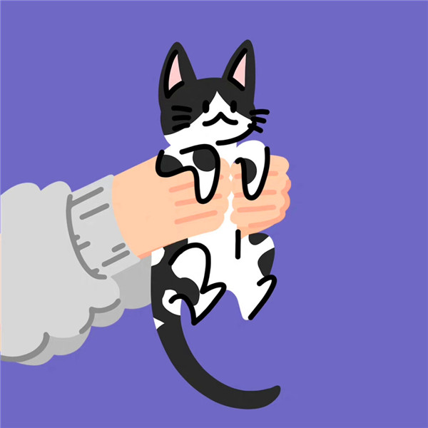 手绘可爱猫咪被抓团体头像图片