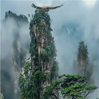微信风景头像清新自然简单好看图片