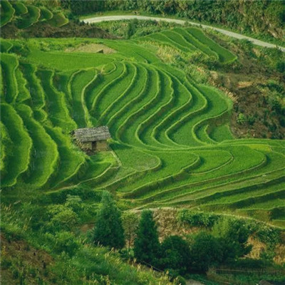 微信风景头像清新自然简单好看图片