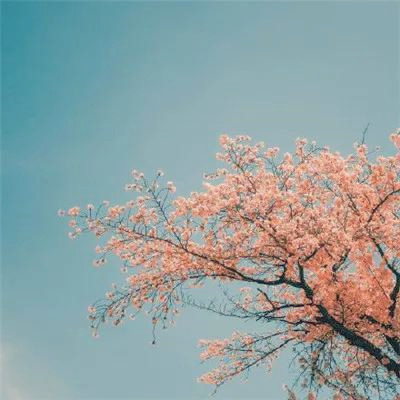 微信风景头像清新自然简单好看图片