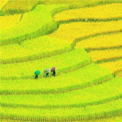 微信风景头像清新自然简单好看图片