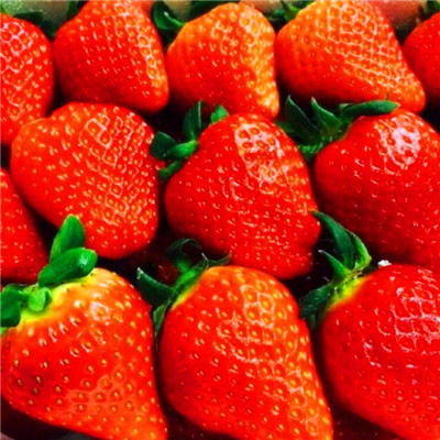 小草莓头像图片