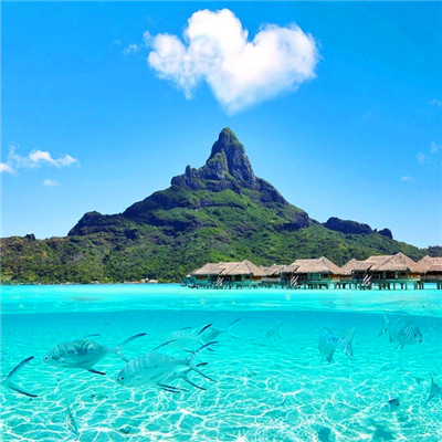 海边风景图片头像