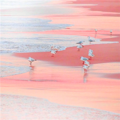 海边风景图片头像