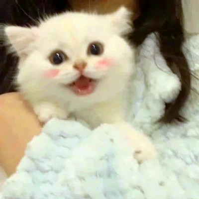 好看又可爱的头像图片