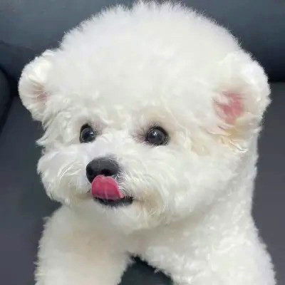 好看又可爱的头像图片