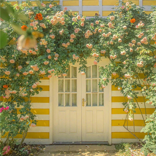 2026超好看背景图片头像