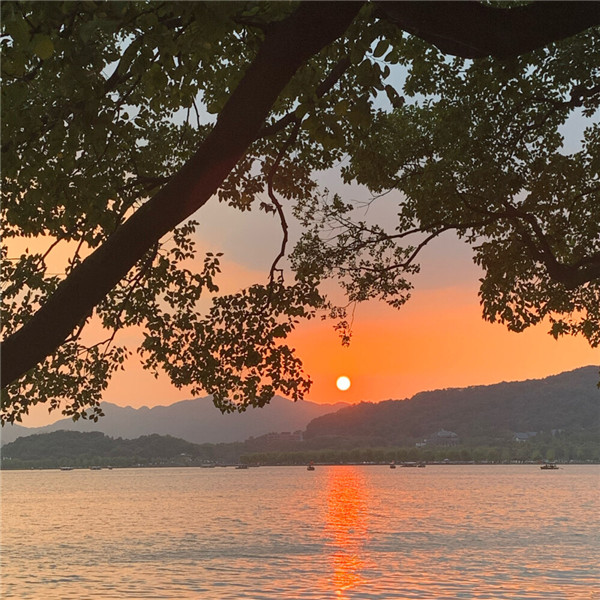 2026超好看背景图片头像