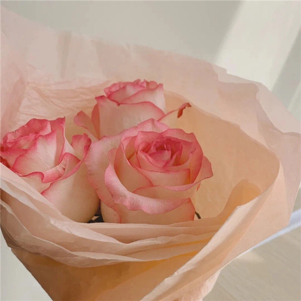 2026超好看背景图片头像