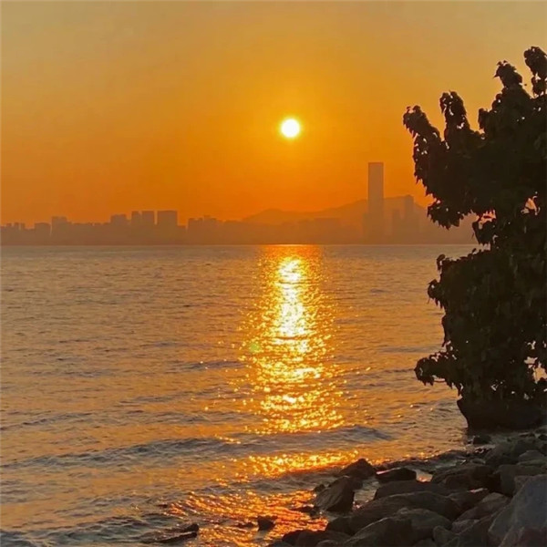 2026超好看背景图片头像