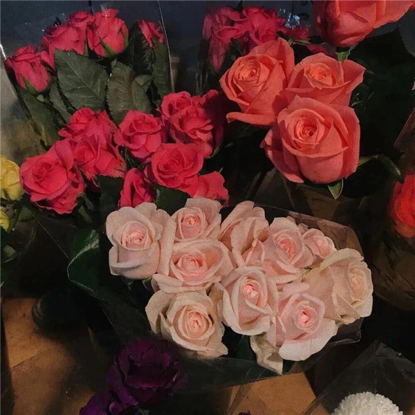 2026超好看背景图片头像