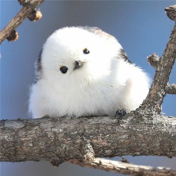 2026超好看背景图片头像