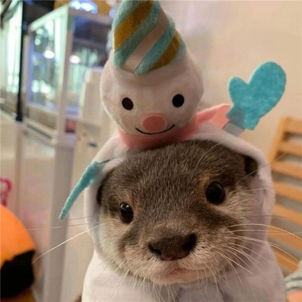 2026超好看背景图片头像