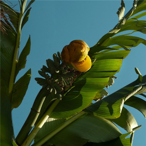 2026超好看背景图片头像