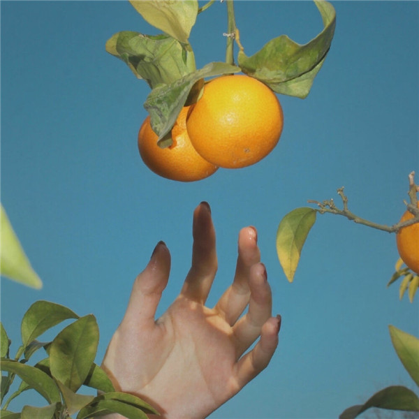 2026超好看背景图片头像