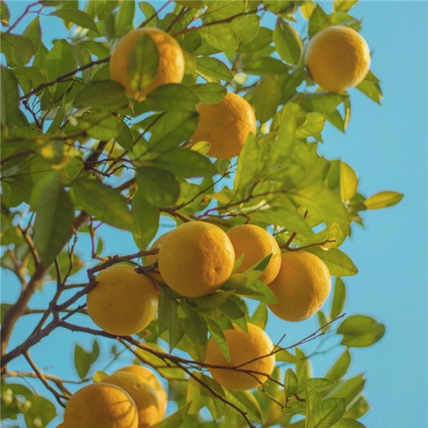 2026超好看背景图片头像