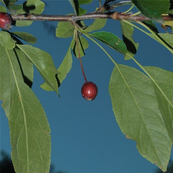 2026超好看背景图片头像