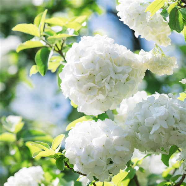 2026超好看背景图片头像