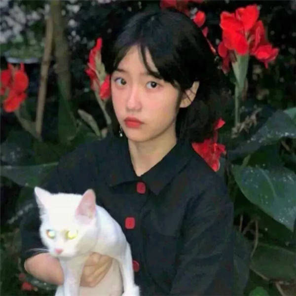 2025抖音最火真人情侣头像