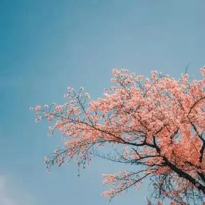 做头像的图片 微信风景