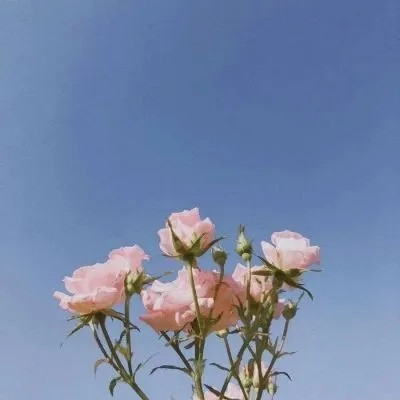 做头像的图片 微信风景