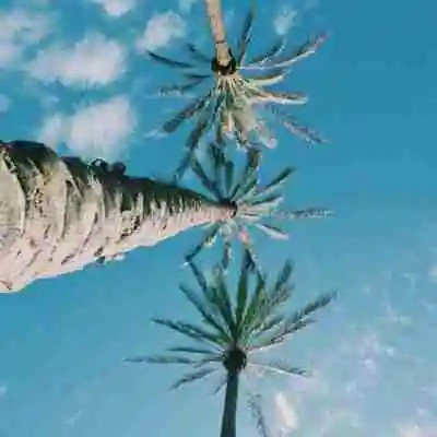 做头像的图片 微信风景