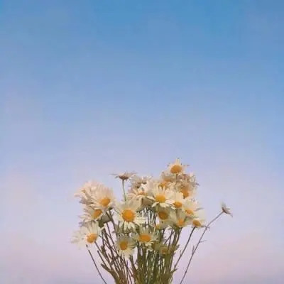 做头像的图片 微信风景