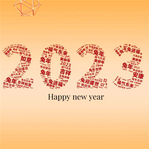 迎接2025图片头像