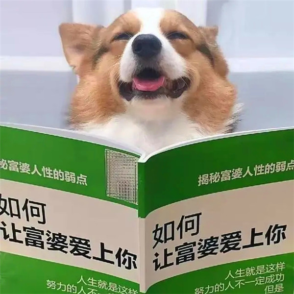 高级小众头像搞怪图片