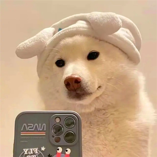 高级小众头像搞怪图片