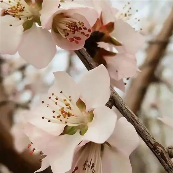 最受家长喜欢的头像