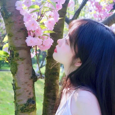 清新唯美图片女生头像