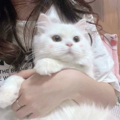 优质稀有ins风女头