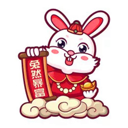 兔年本命年微信头像图片