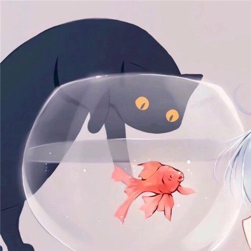 非常好看的动漫情头