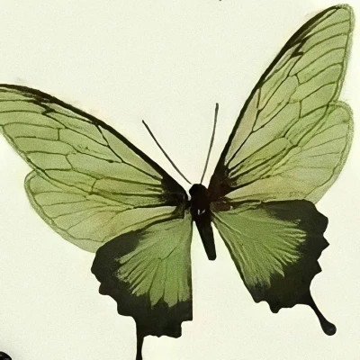 2026年头像背景图片