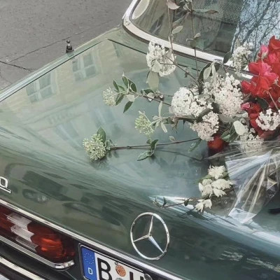 2026年头像背景图片