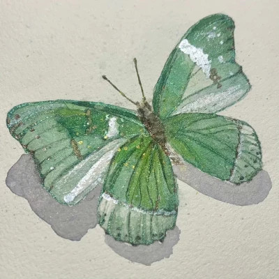 2026年头像背景图片