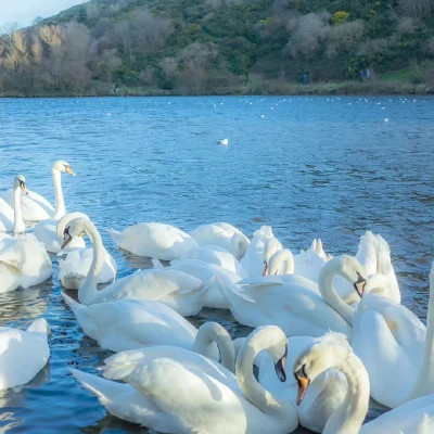 2026年头像背景图片