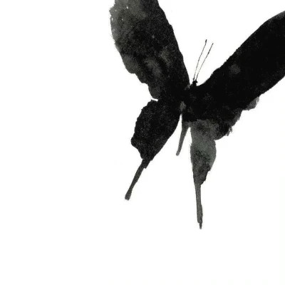 2026年头像背景图片