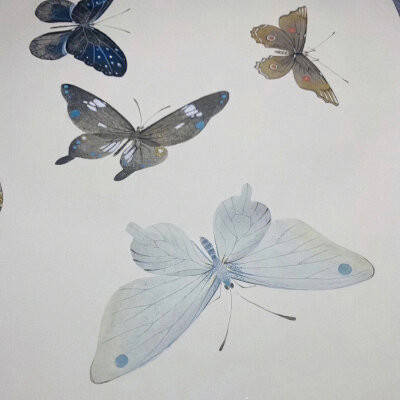 2026年头像背景图片