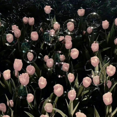 2026年头像背景图片