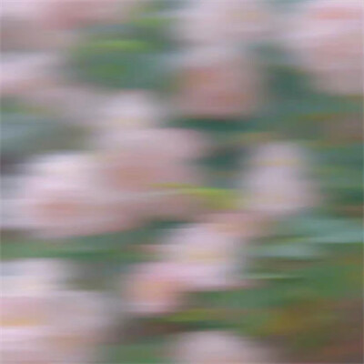 2026年头像背景图片