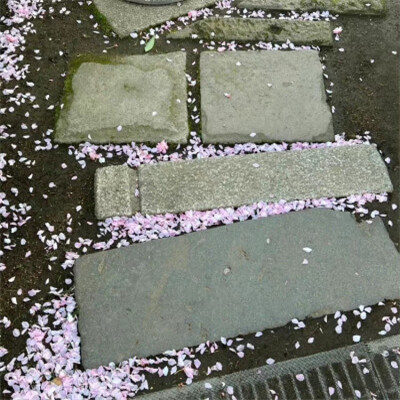 2026年头像背景图片