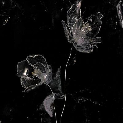 2026年头像背景图片