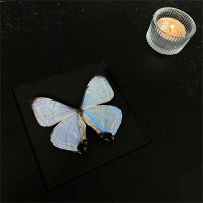 2026年头像背景图片